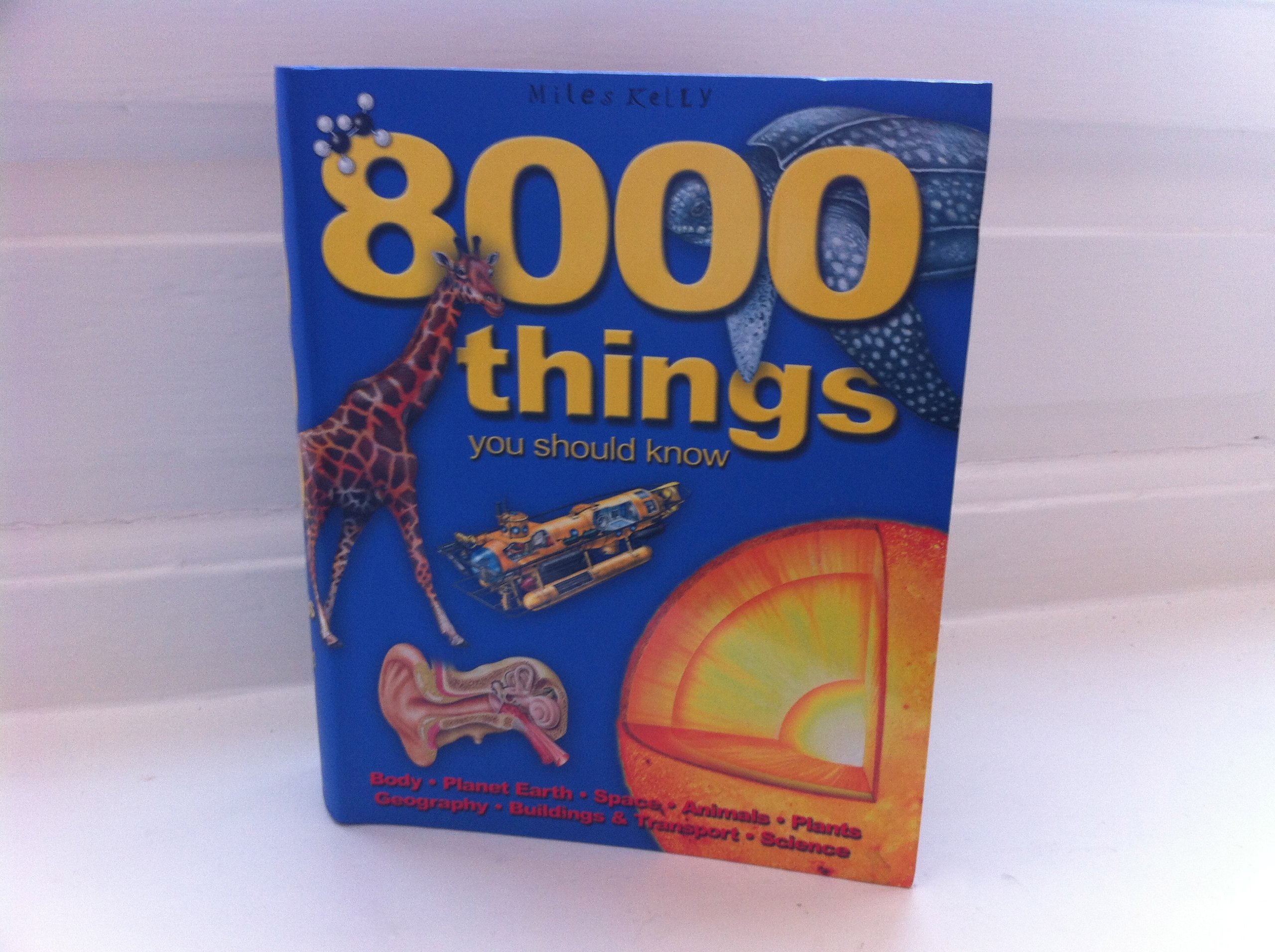 8000 Things You Should Know: Miles Kelly Publishing: 9781842368046