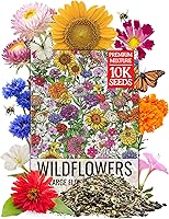 Vista 12 de Seed Needs Zinnia Seeds 15+ variedades Specialty Crazy Blend Más de 1000 semillas de Zinnia Elegans de polinización abierta Incluye California