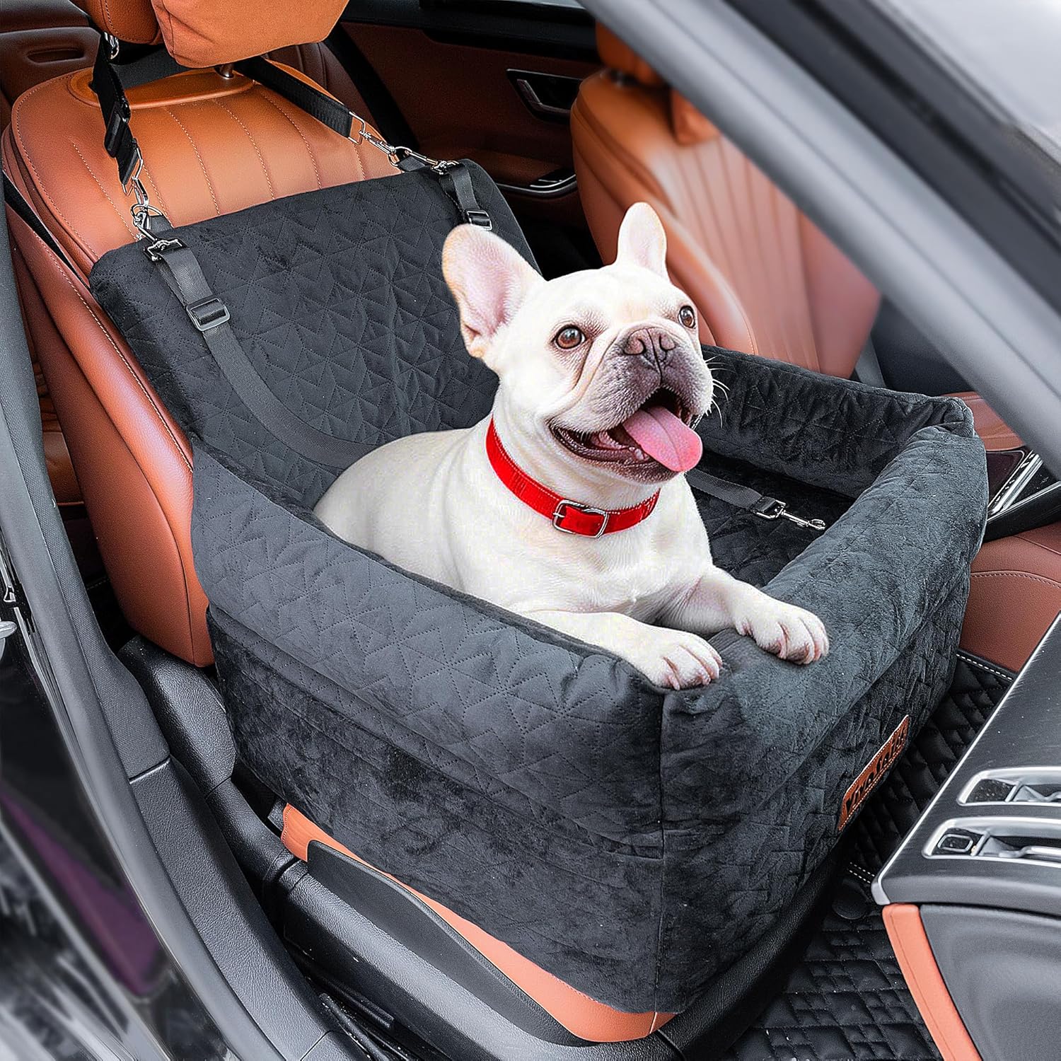 Dog Booster Car Seat for Small/Medium Dogs, VIVASNIFF 6 Inches Memory Foam Elevated Dog Pet Car Bed up to 45 lbs with 2 Safety Belts, Leakproof, Detachable and Washable (Black).