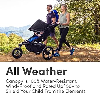 Amazon.com : BOB Gear Alterrain Pro Jogging Stroller, All-Weather Amazon.com : BOB Gear Alterrain Pro Jogging Stroller, All-Weather
