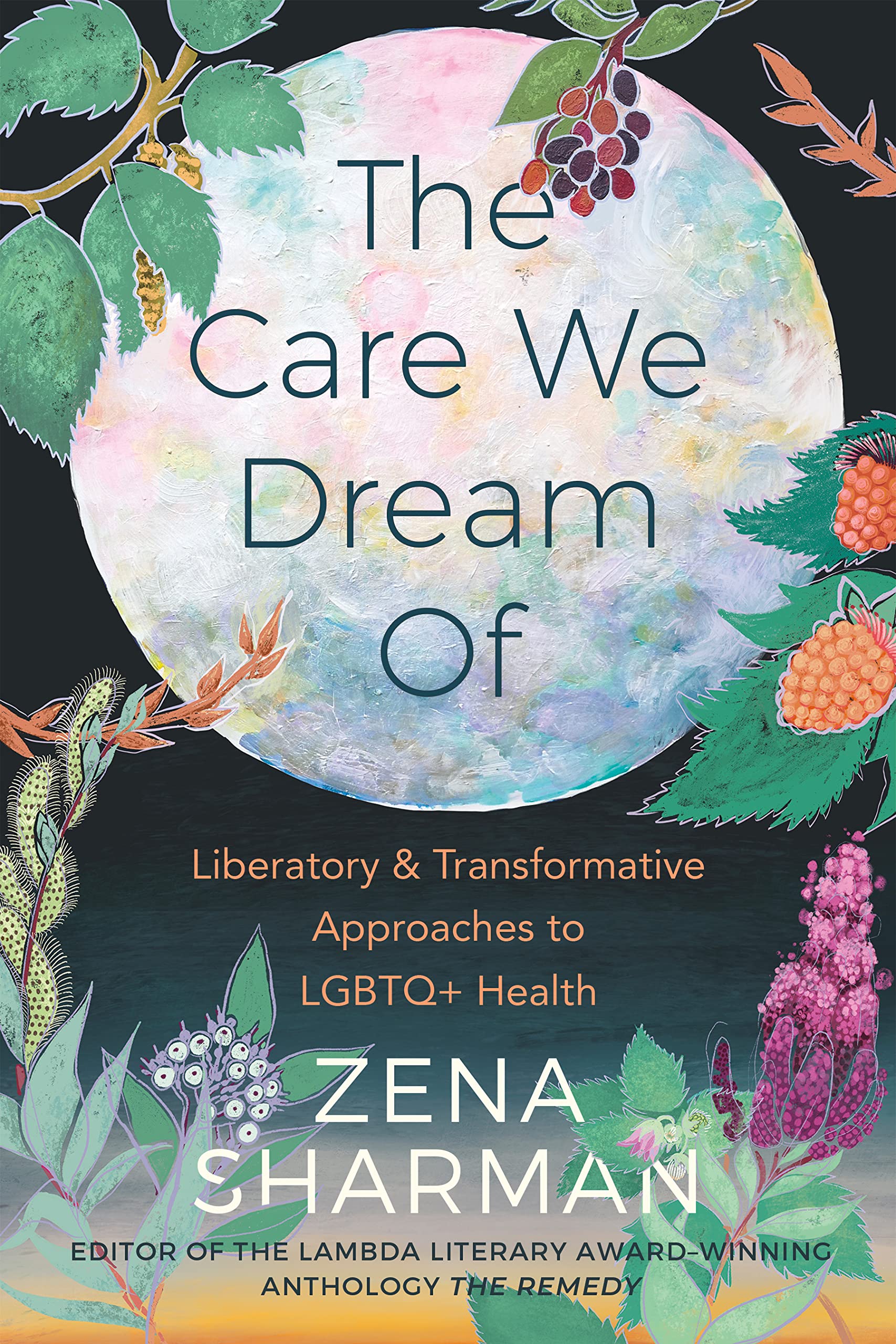 Buy The Care We Dream Of — BookShops.in
