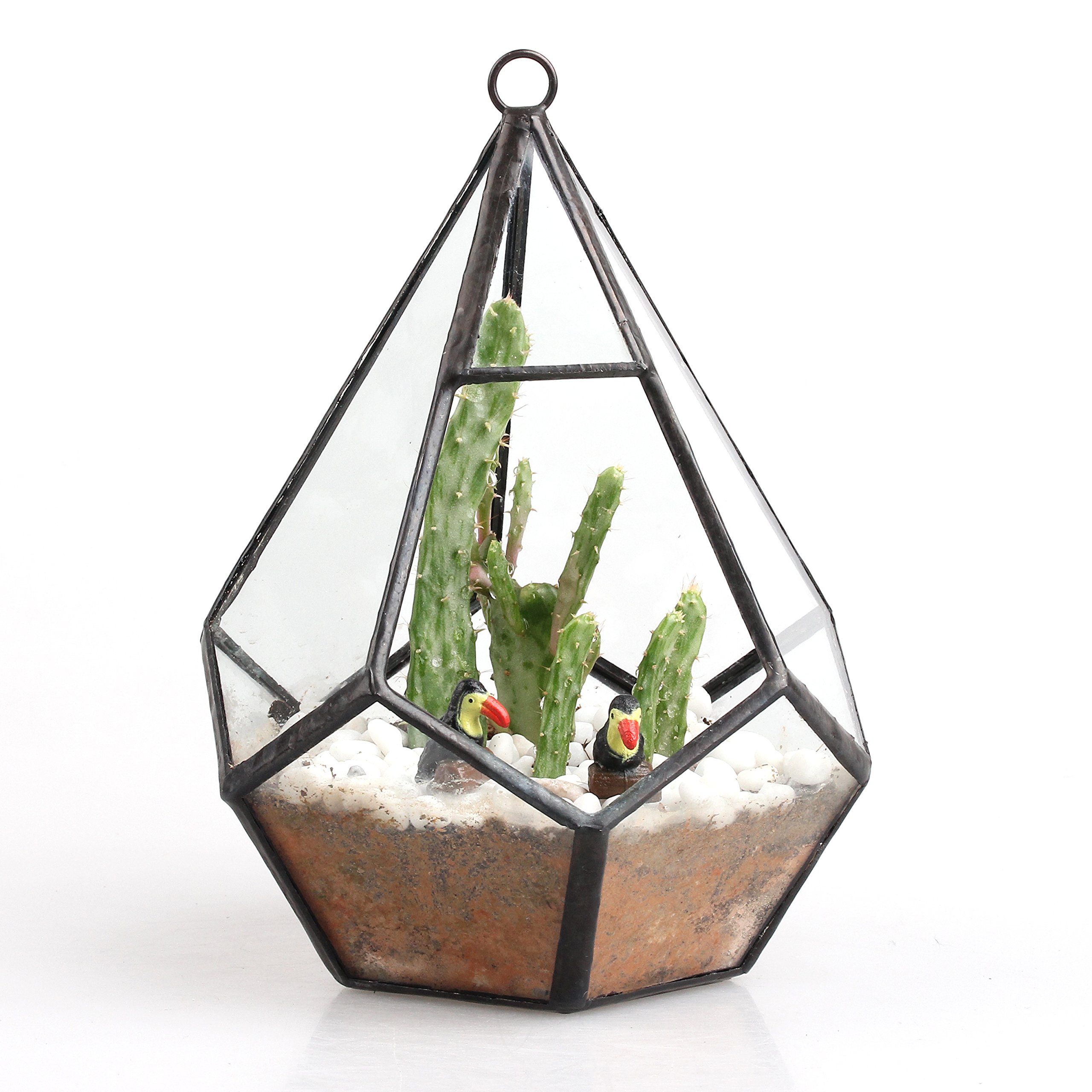 10" Open terrarium Terrarium planter pot Glass succulent planter