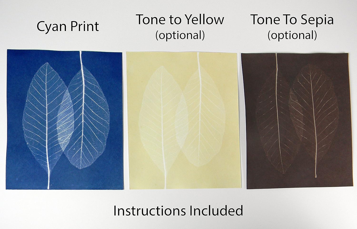 Cyanotype 8" x 10" Paper - 12 Pack (White) : Arts, Crafts & Sewing