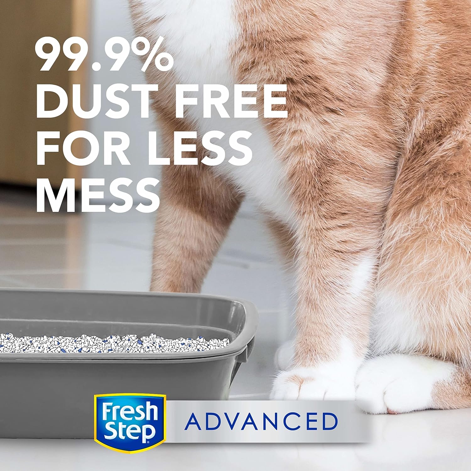 Fresh Step Advanced Clumping Cat Litter Gain Scent, 99.9% Dust-Free, 37 Pounds Total (2 Pack of 18.5 lb Boxes) (Package May Vary) : Pet Supplies