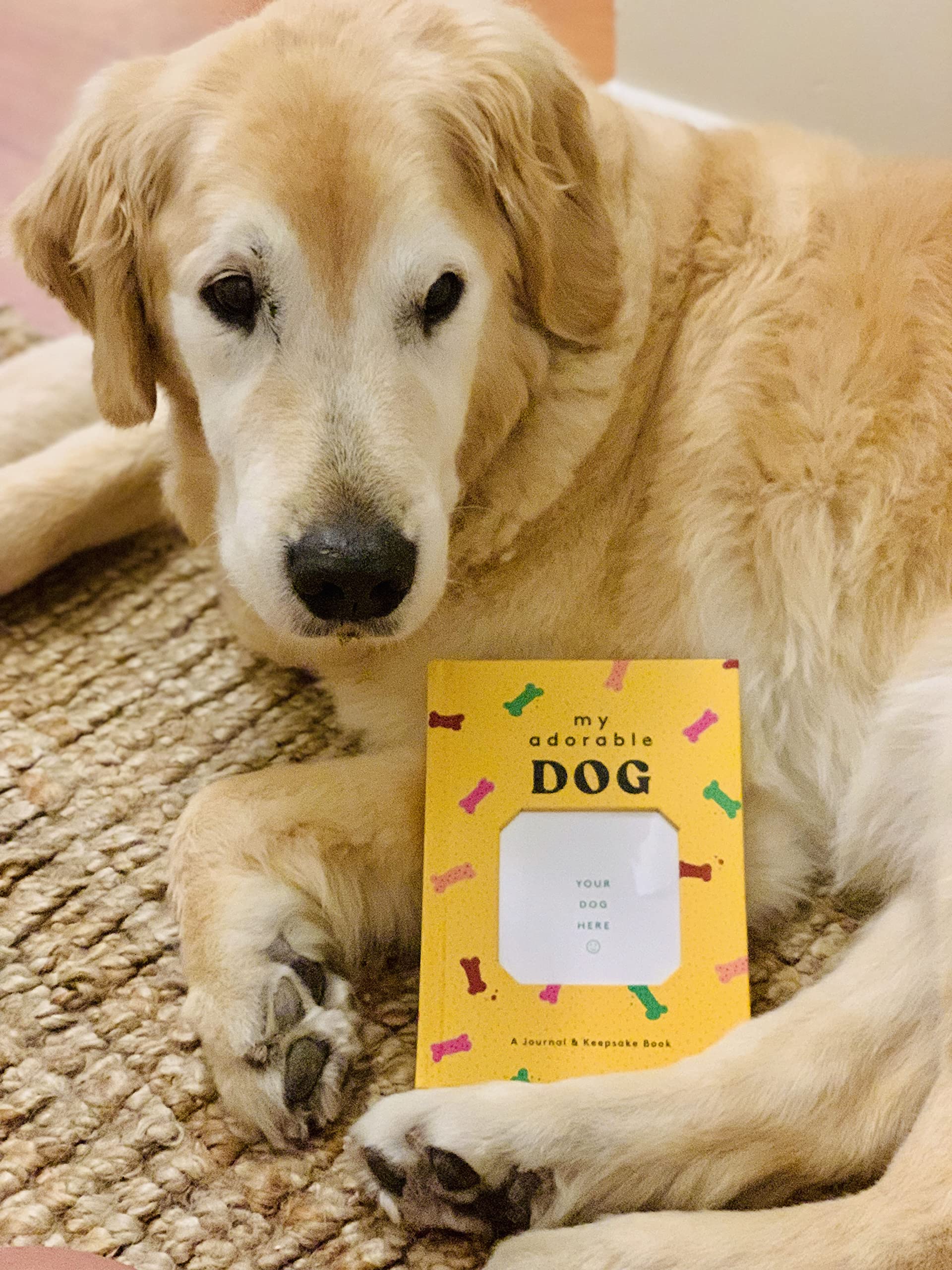 My Adorable Dog: A Journal & Keepsake Book (Dog Owner Gift book, Dog Baby Book) - Image 5