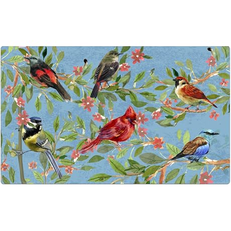 Welcome Doormat for Front Door - Decorative Bird Doormat