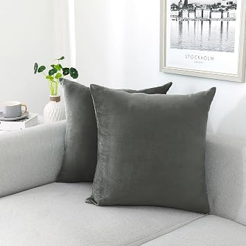 NiNi ALL Dark Grey Velvet Throw Pillow Covers 12x12 Pack of 2 Decorative