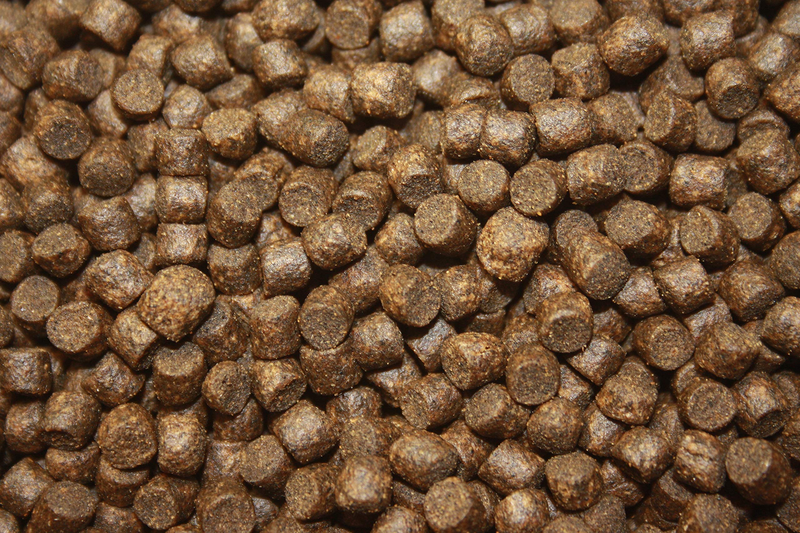 Koifutter für den Herbst, Tomodachi Herbstfutter für Koi, langsam sinkend und energiereich, 10kg