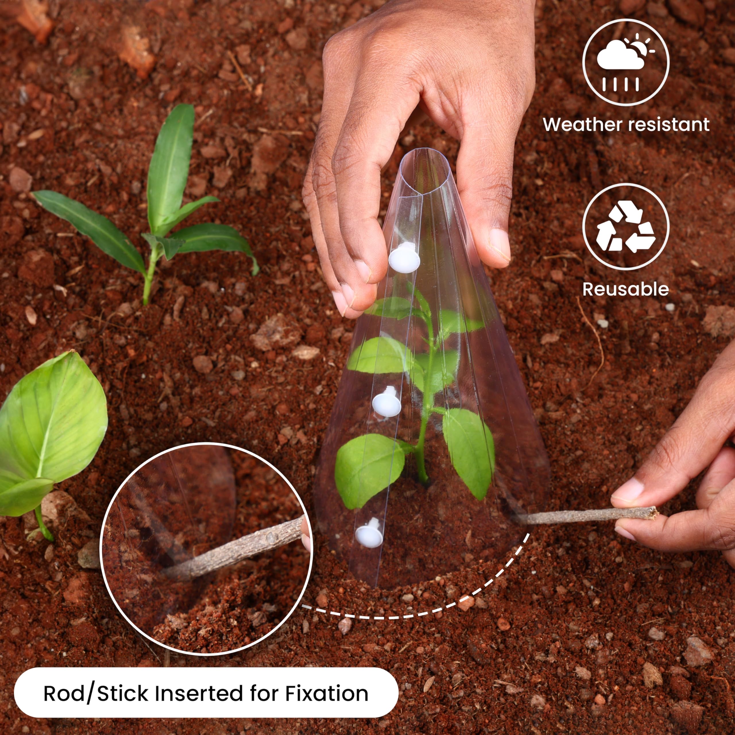 Lot De 20 Cloches De Protection Plantes Vertes - Mini Serre Anti Escargots, Gel & Intempéries