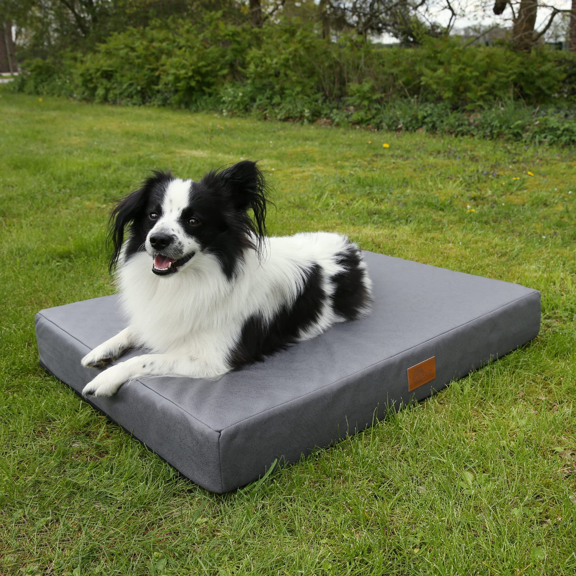 your GEAR Biella - Cama ortopédica para Perros, 100 x 70 x 10 cm, Lavable