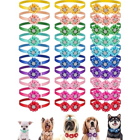 dogs items accessories