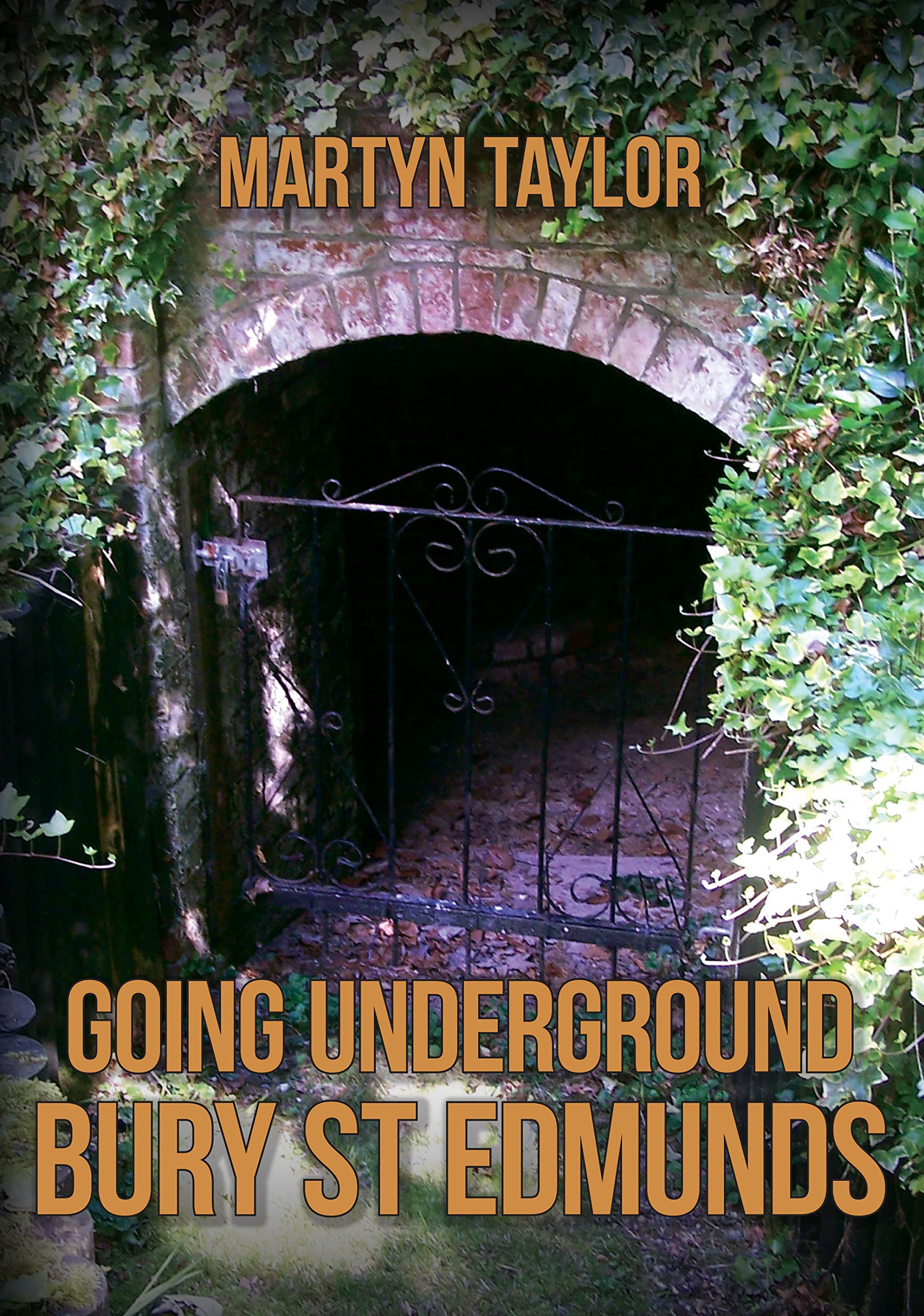 Going Underground: Bury St Edmunds by Martyn Taylor (Paperback Book)