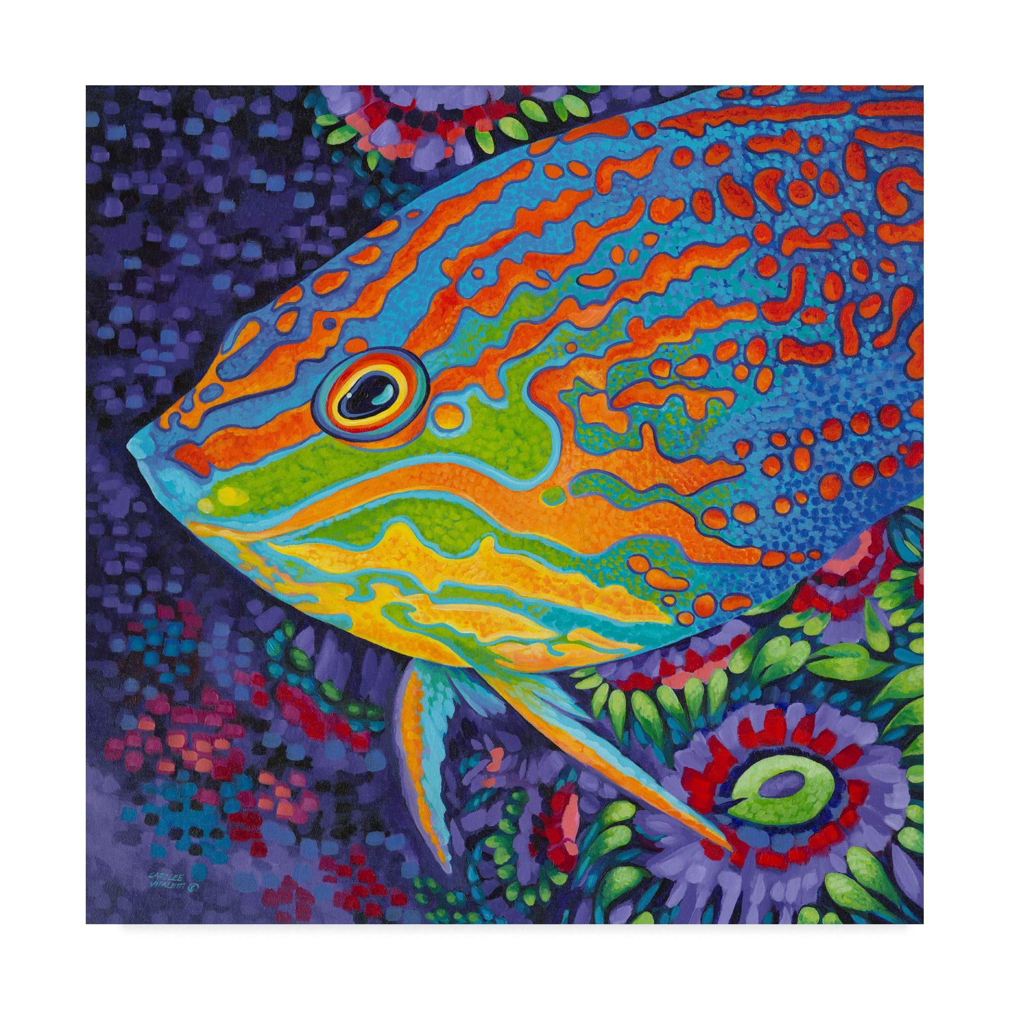 Trademark Fine Art Brilliant Tropical Fish I by Carolee Vitaletti, 18x18-Inch