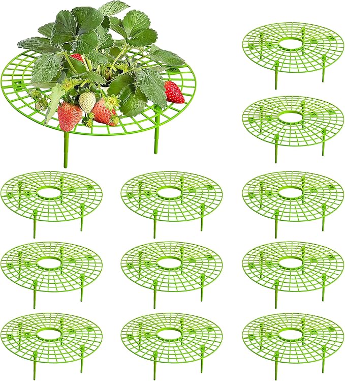 Amazon.com : Iceyyyy 6 Pack Strawberry Plant Supports-Strawberry ...