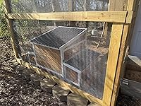 Review Image by Michele MacIntosh