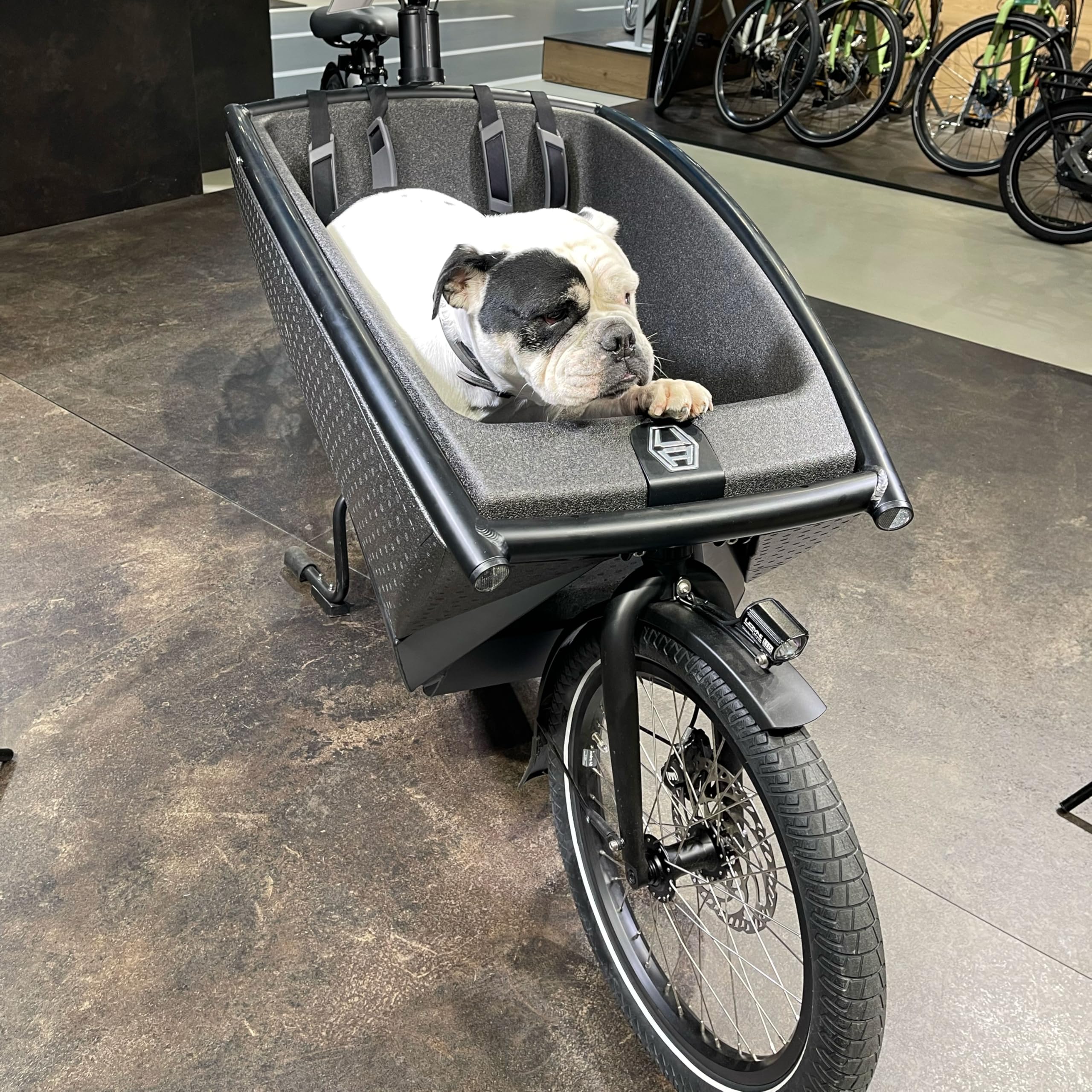 Urban Arrow Tapis de protection de qualité supérieure avec deux bancs - Tapis de sol antidérapant - Accessoires de vélo de chargement - Facile d'entretien et respectueux de l'environnement