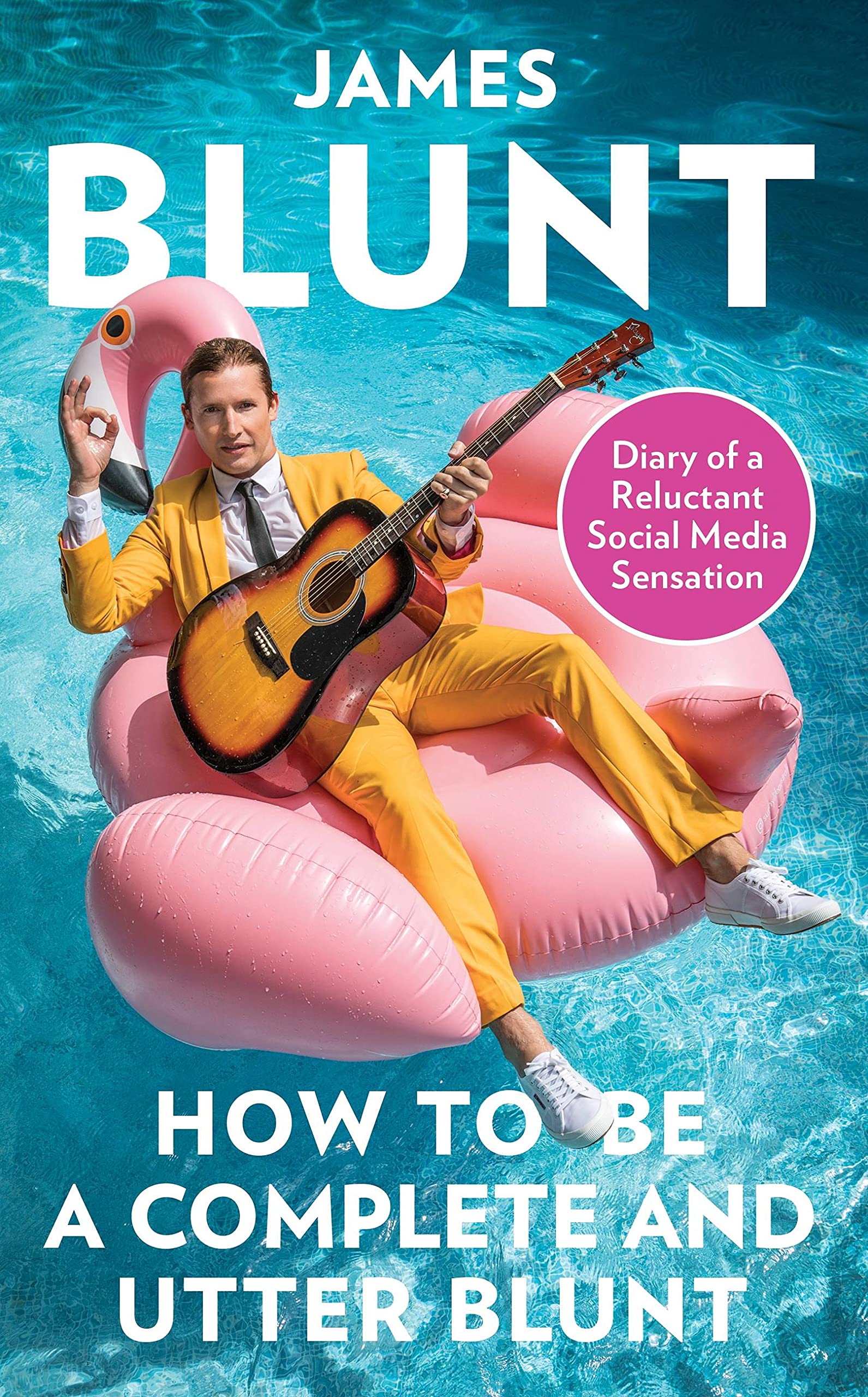 Buy HOW TO BE A COMPLETE AND UTTER BLUNT: Diary of a Reluctant Social Media Sensation — BookShops.in