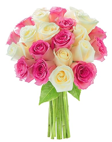 Miniatura 54 de KaBloom ENTREGA PRIMA AL DÍA SIGUIENTE - Colección Otoño - Ramo de 18 Rosas Naranja Frescas Cortadas (Frescas de Granja, Tallo Largo) con Jarrón.