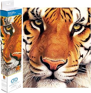 مجموعة رسم، الفن الماسي السحري البنغالي للبالغين من دايموند دوتز، 5.0 متر × 4.3 متر