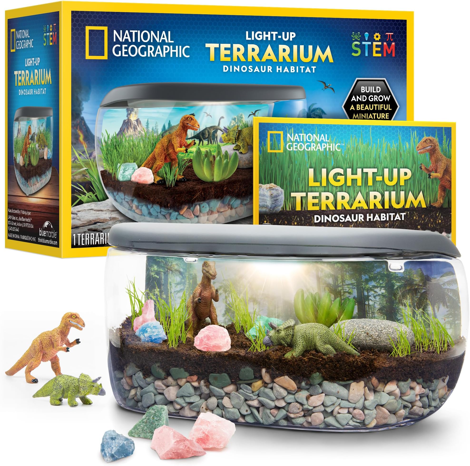 NATIONAL GEOGRAPHIC Light Up Terrarium Kit - Build a Dinosaur Habitat with Real Plants & Fossils, Science Kit for Kids