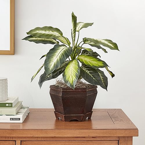 Miniatura 4 de Nearly Natural Dieffenbachia dorada con jarrón de madera Planta de seda