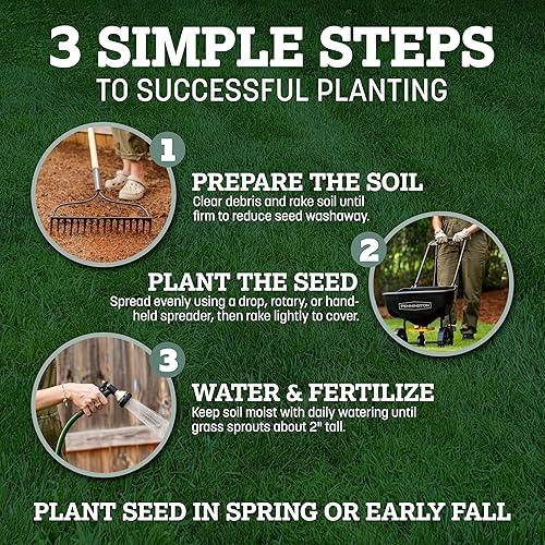 Miniatura 9 de Pennington Kentucky 31 Semilla de Césped Festuca Alta Penkoted 7 lb