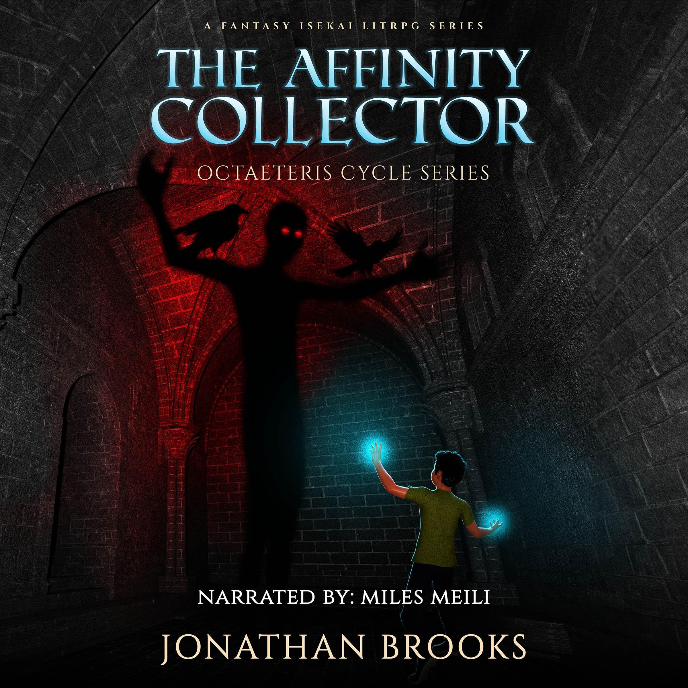 Cover art for The Affinity Collector