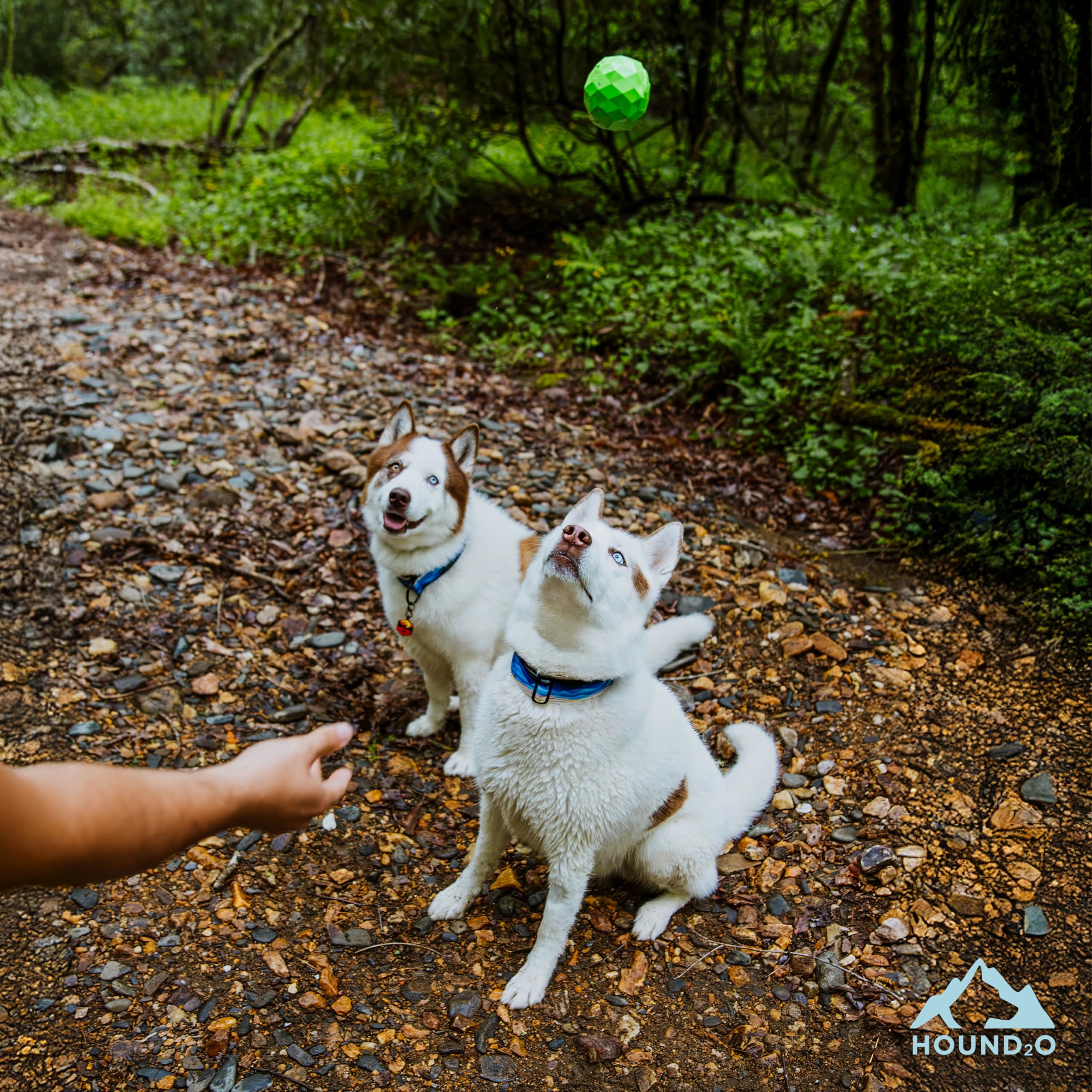 Juguetes para Perros Pelota silbadora para Perros | Juguete Flotante Verde para Exteriores