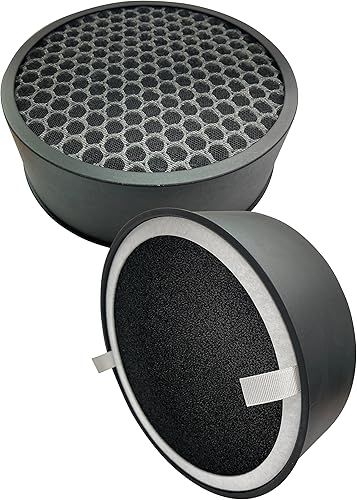 Comfort Zone CZAPH132 - Filtros HEPA reemplazables limpios con prefiltro de carbón, elimina humo, olores y contaminantes, atrapa alérgenos, caspa,