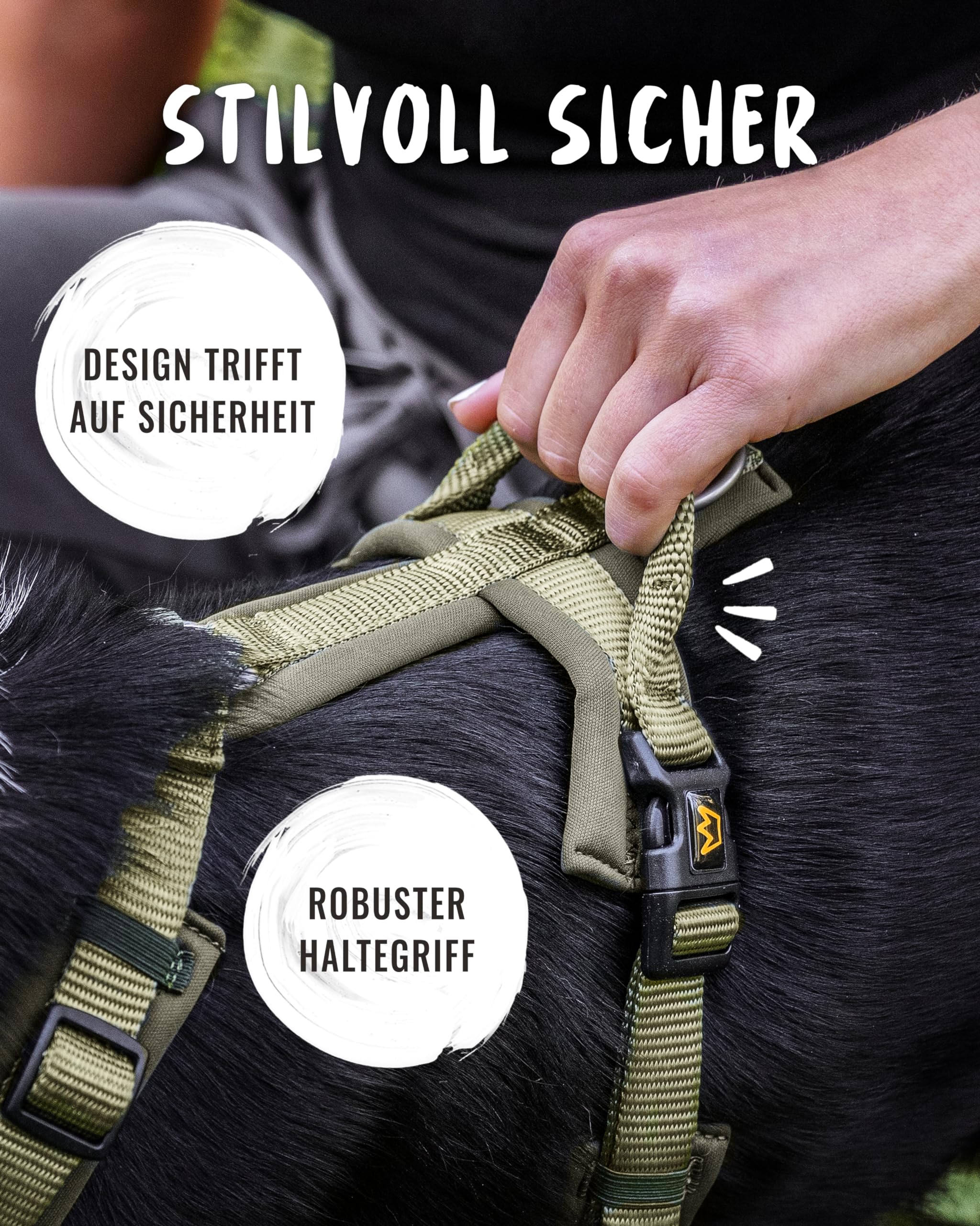 Rudelkönig Hundegeschirr Bella - Gepolstertes Brustgeschirr mit Haltegriff - Geschirr Hund mittel in Y-Design - Verstellbares Hundegeschirr mittelgroße Hunde
