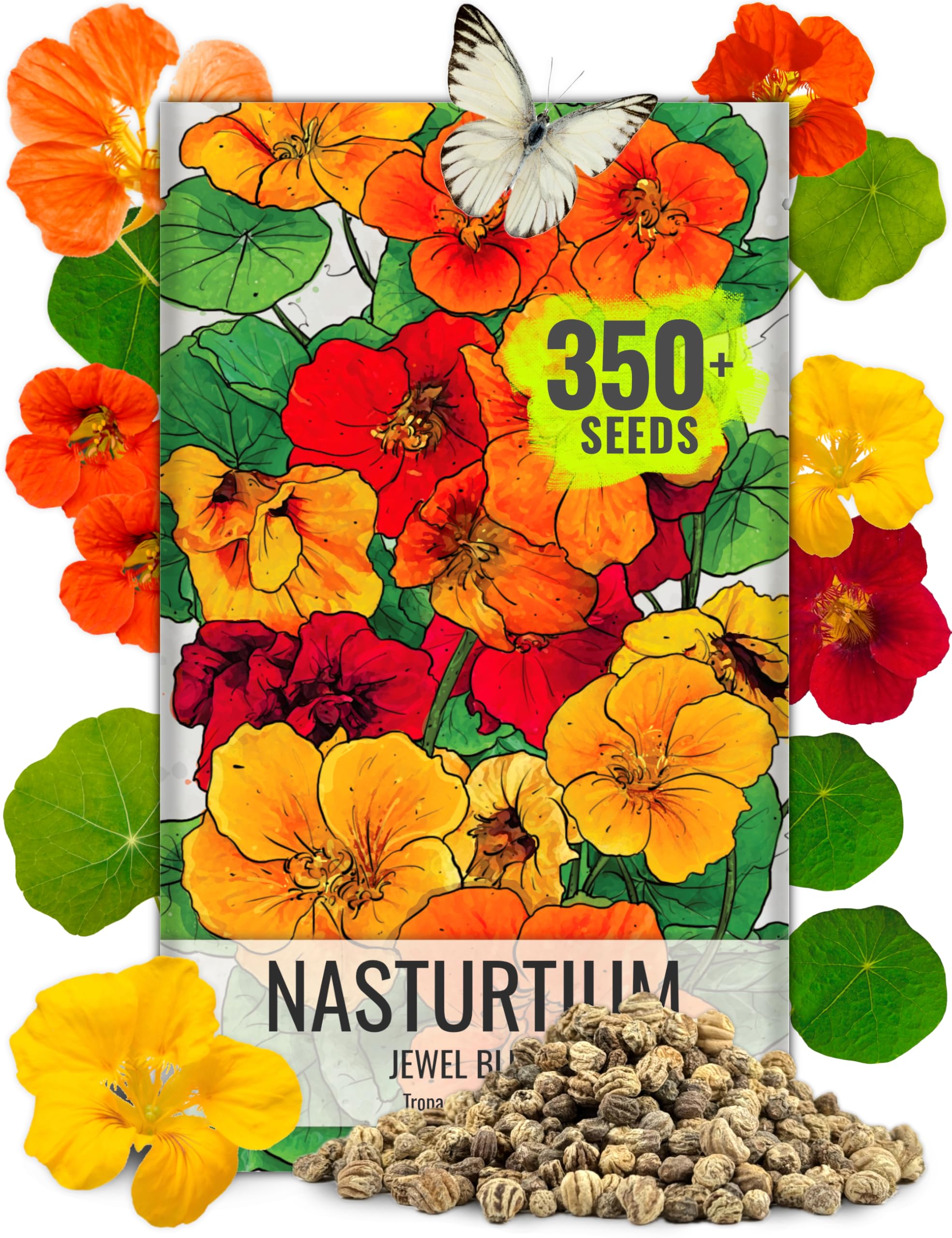 Seed Needs Nasturtium Seeds Jewel Mix Multicolored Edible Flowers | 1.5 Ounce 350+ Seeds Tropaeolum Nanum Annual Flower Seed Mix | Bulk Jewel Nasturtiums for The Garden