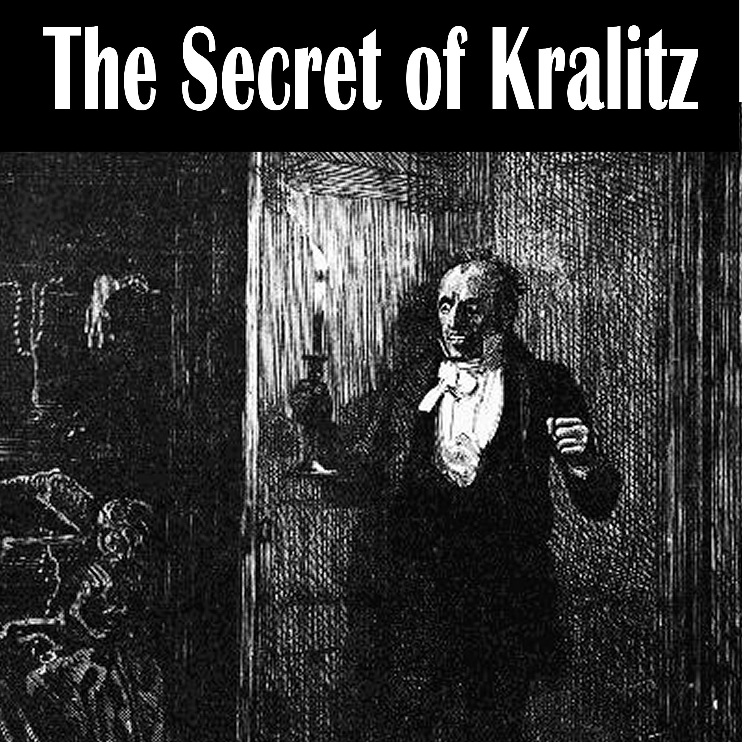 Cover art for The Secret of Kralitz