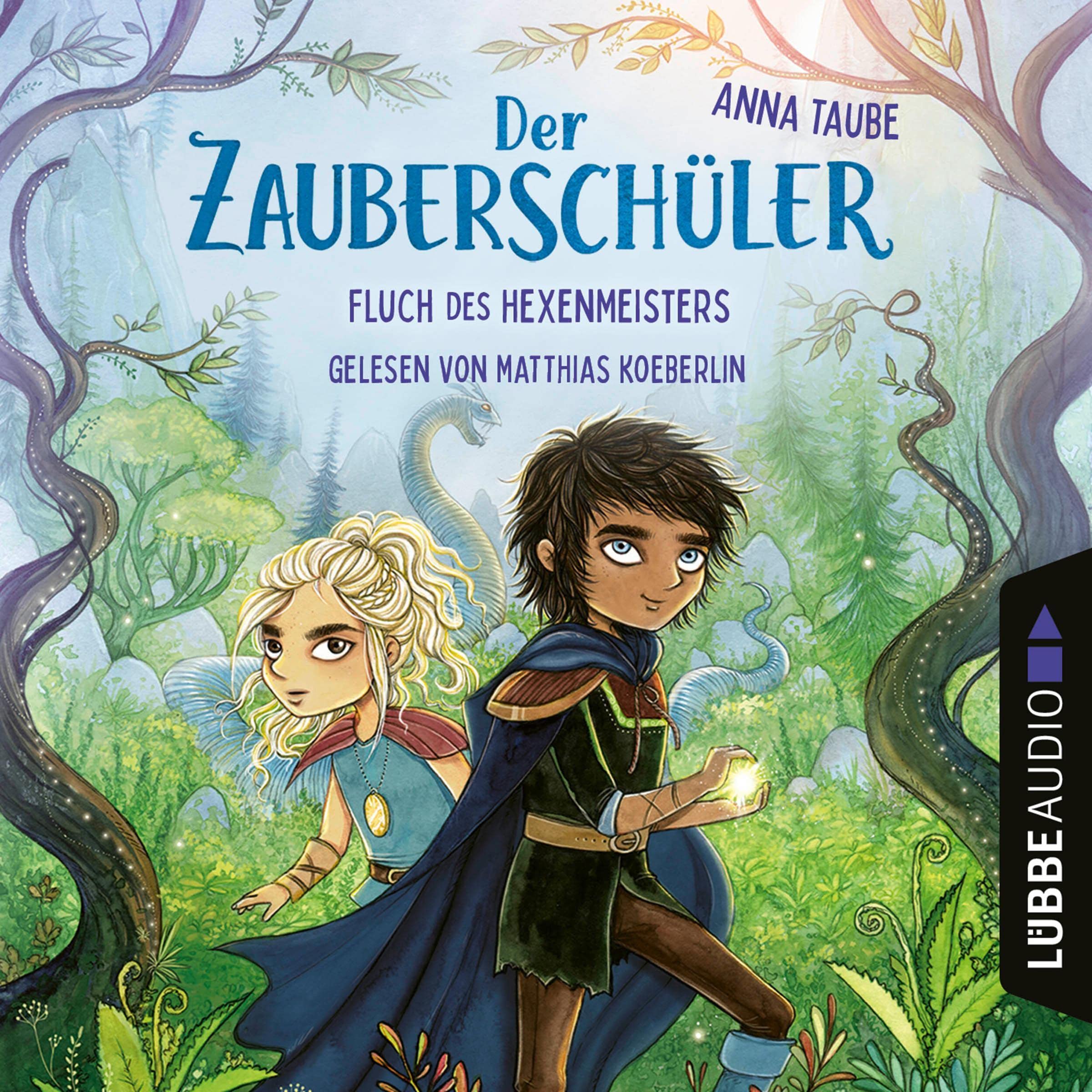 Cover art for Fluch des Hexenmeisters