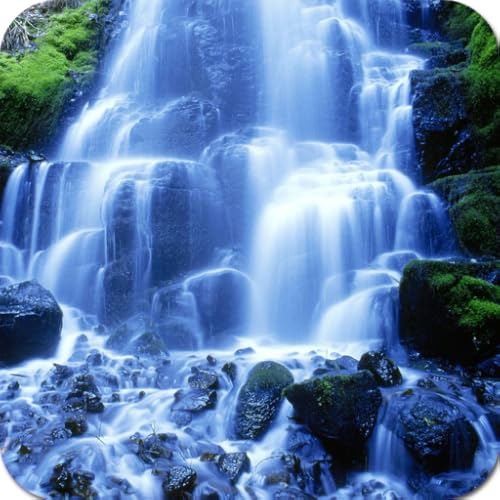 Nature's Miracle Wallpapers