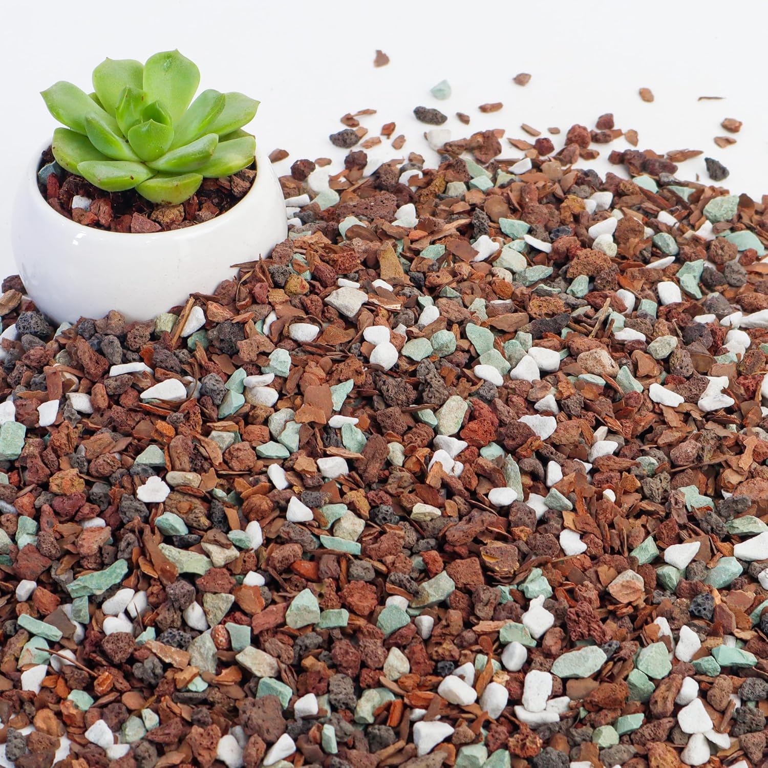 4 Quart Bonsai Soil Mix Lava, bark, Volcanic Rock, Green Zeolite and Perlite,Natural Organic Mix for Potted Plants