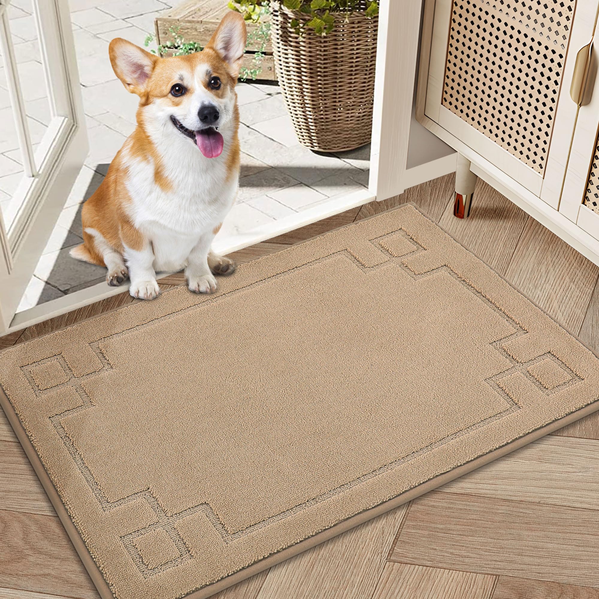 BEQHAUSE Door Mat 20" x 32", Non-Slip Door Mats Indoor Entryway Rugs Washable Low-Profile Absorbent and Stain Resist Floor Mats, Dog Door Mat for