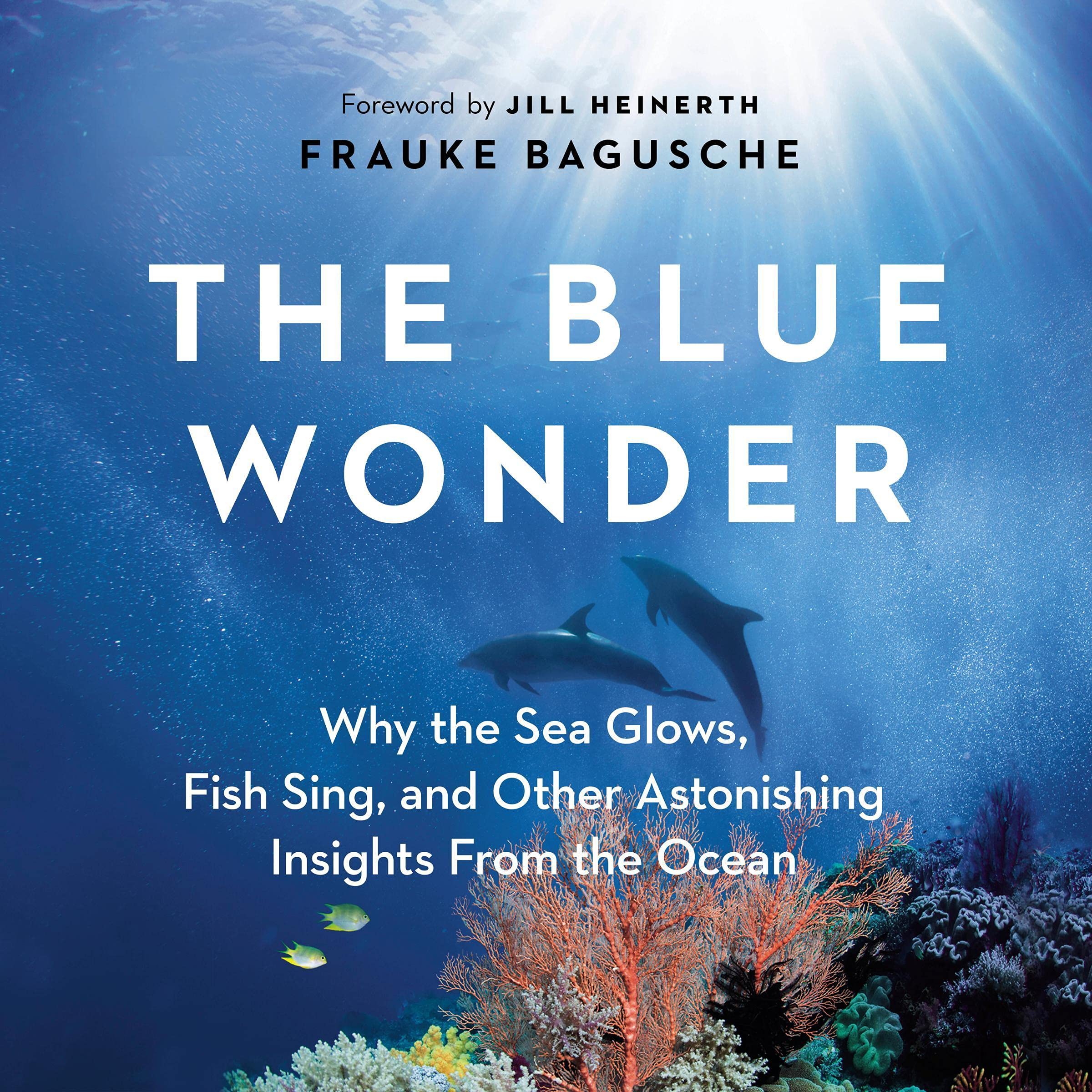 Cover art for The Blue Wonder