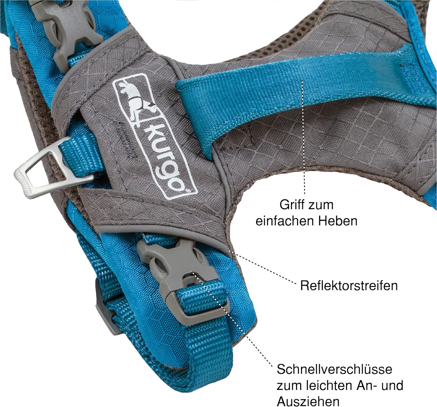 Adventure Awaits: The Kurgo Nomad Dog Carrier Backpack Review