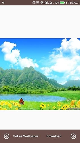 Nature Wallpaper