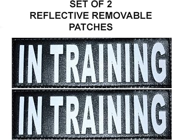 Service Dog in Training Vest, Adjustable No Pull Dog Harness