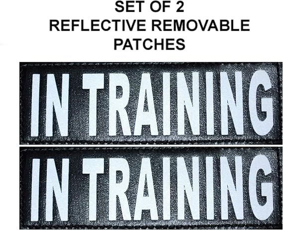 Service Dog in Training Vest, Adjustable No Pull Dog Harness