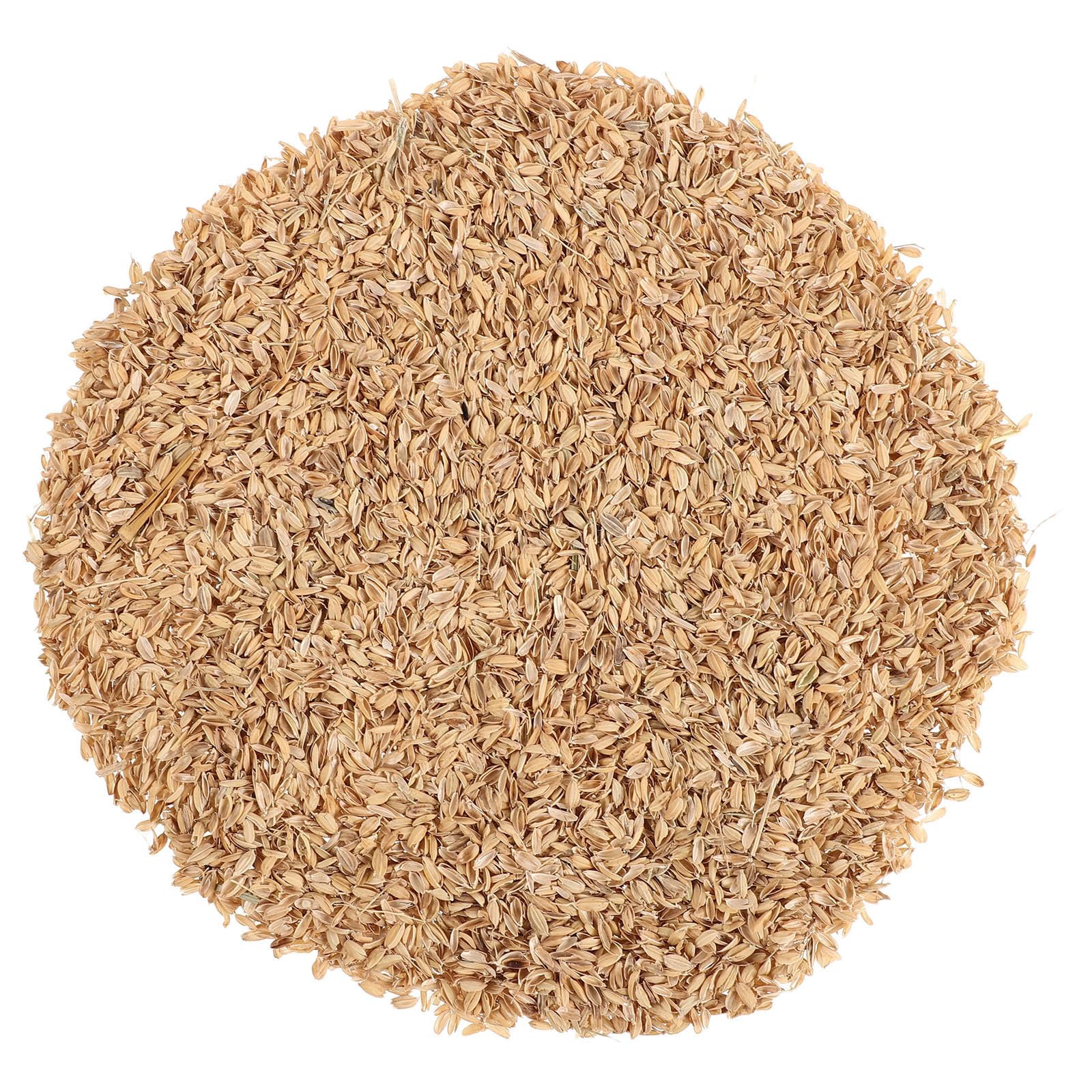Balles de riz pour poulailler UPKOCH 1,5 Kg paillis naturel et respirant