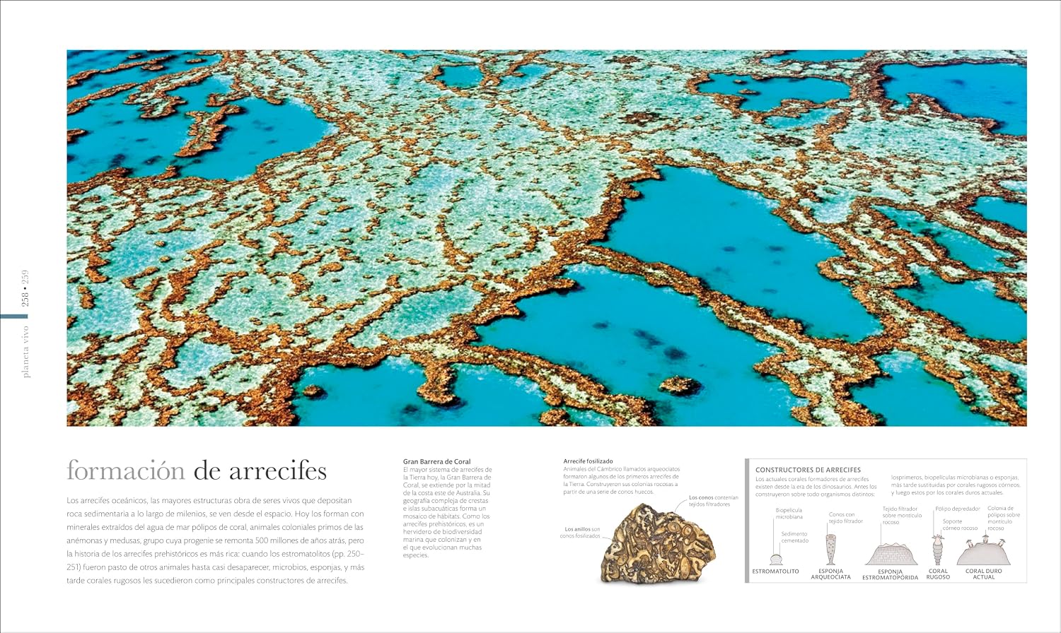 Tierra: Los secretos de nuestro planeta