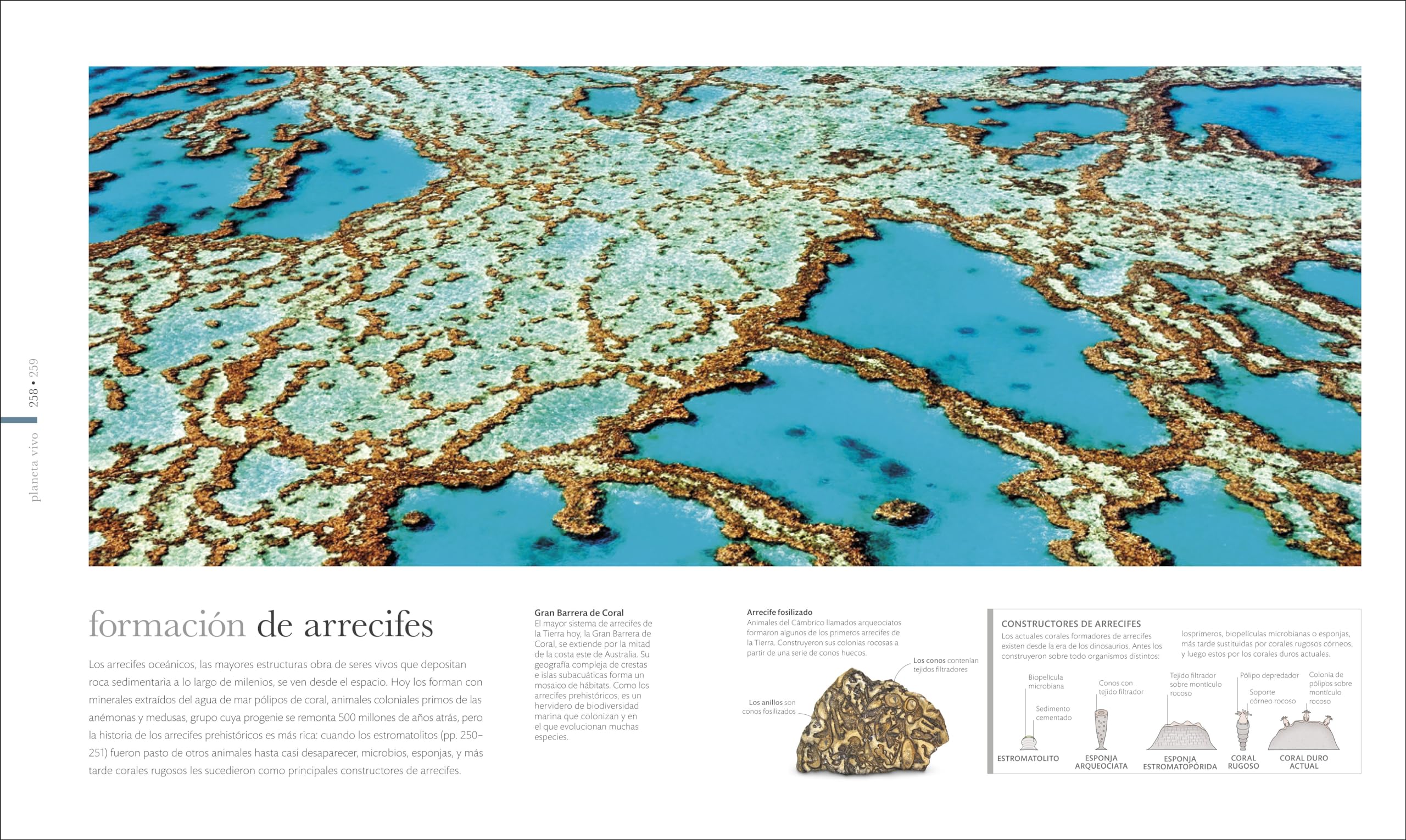 Tierra: Los secretos de nuestro planeta (Enciclopedia visual)