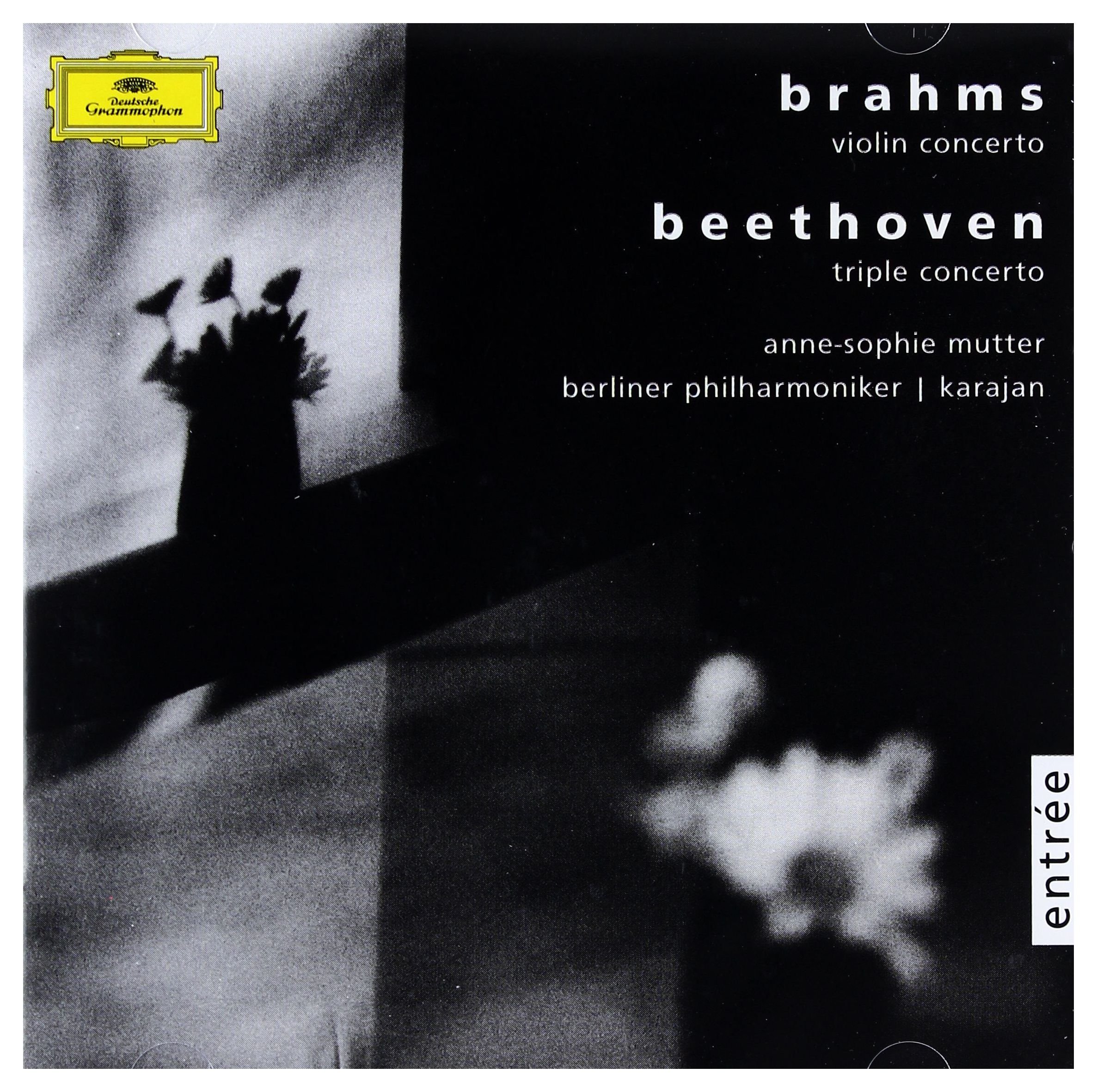 Triple Con Op. 56/Brahams: Violin Concerto