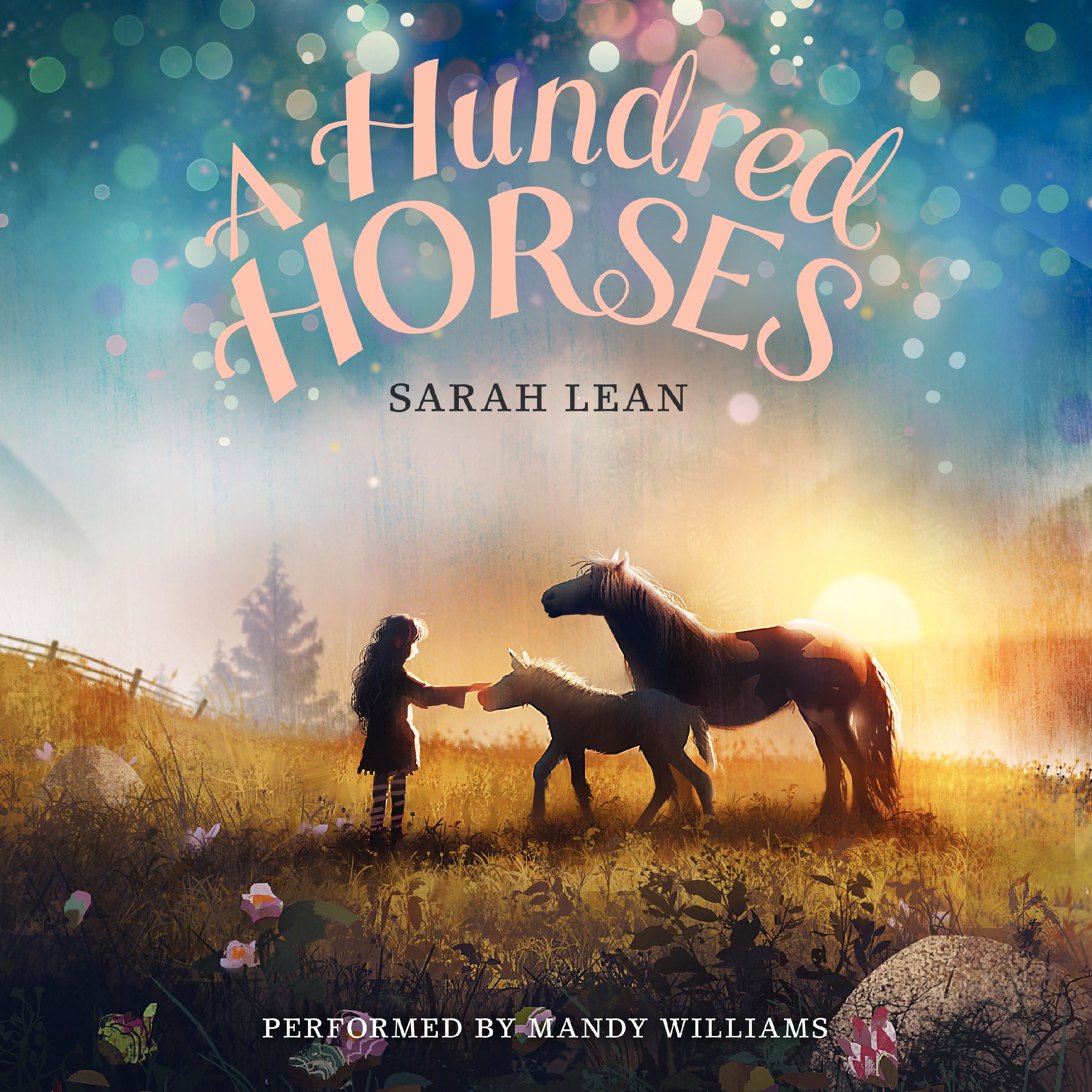 Cover art for A Hundred Horses