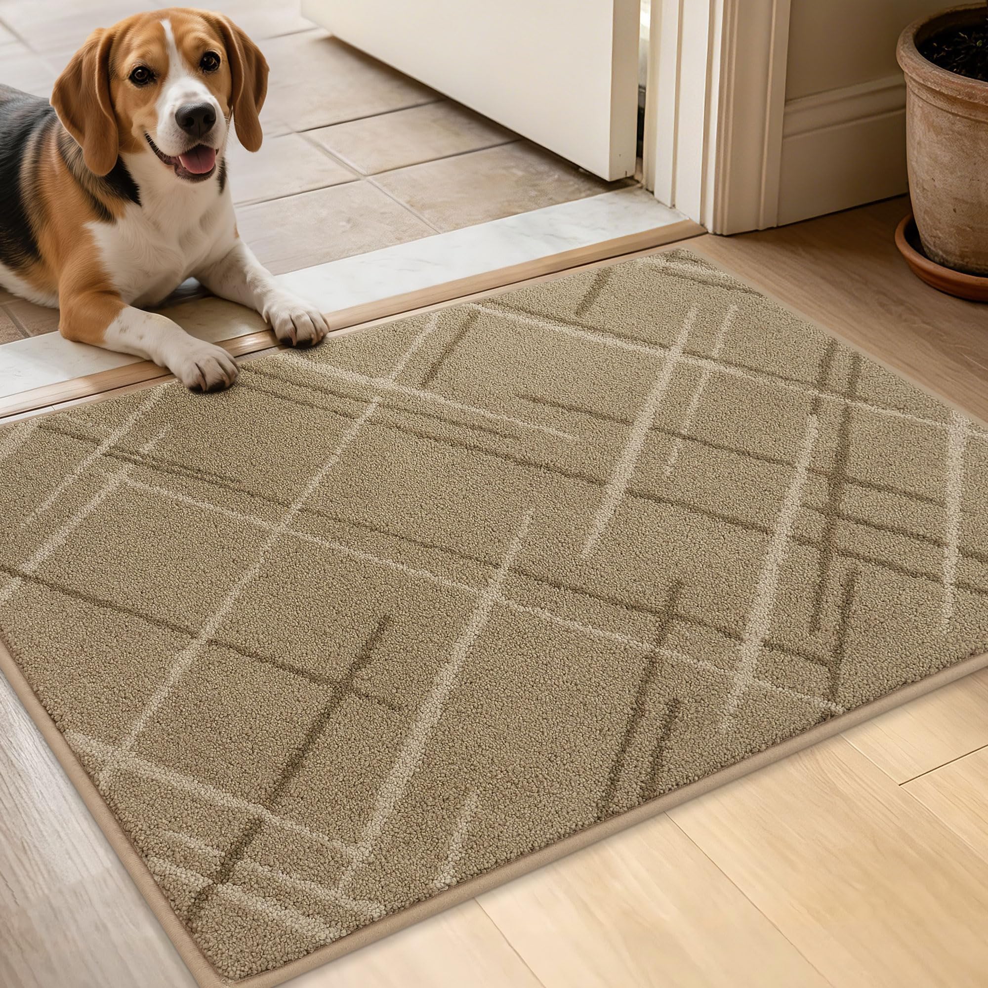 BEQHAUSE Blue Door Mat - Non-Slip Entryway Rug -20