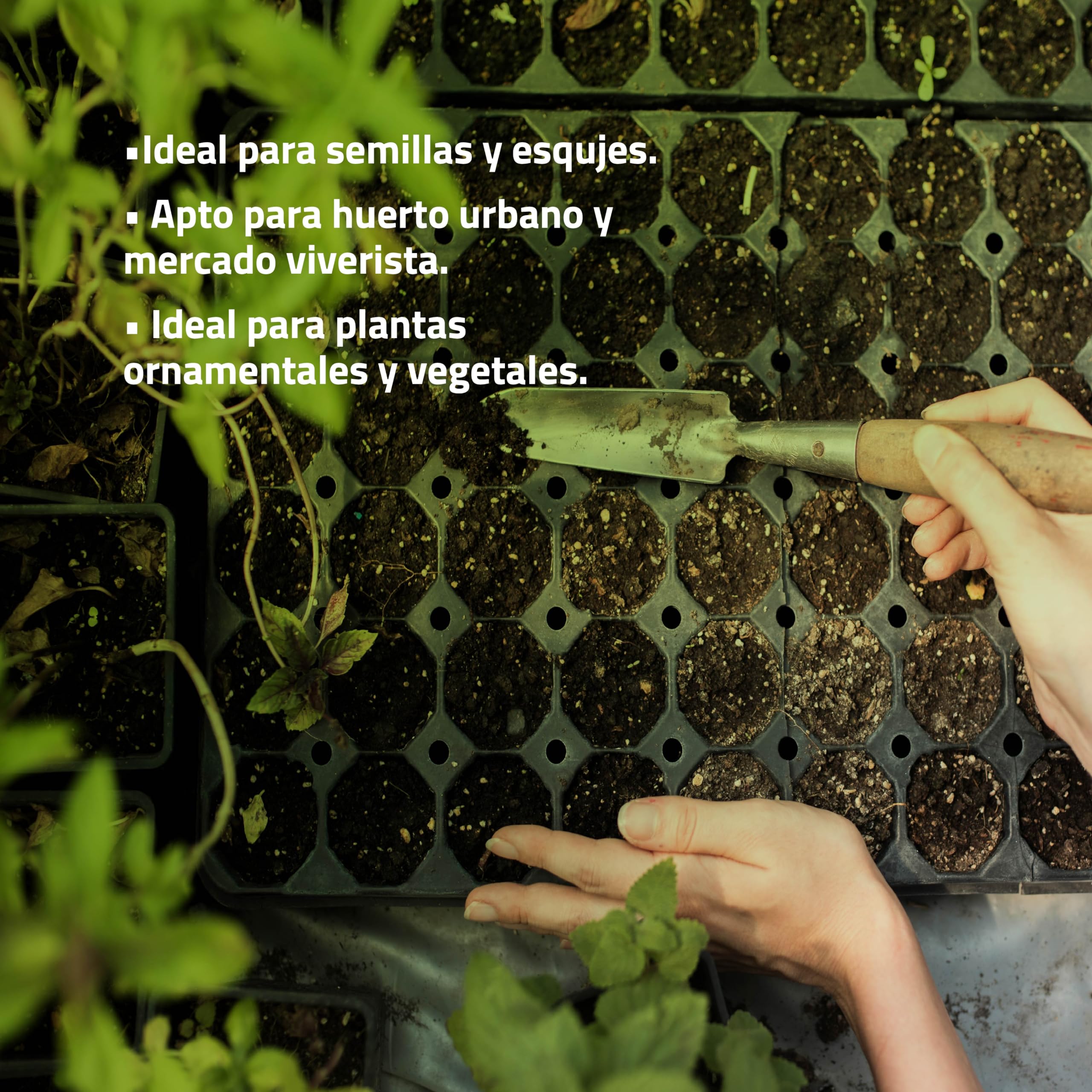 Bandeja de Semilleros de Germinación 104 Alveólos | Propagador de Semillas con Tierra y Orificio para Semilla o Planta | Mejor Desarrollo Raíces | Biodegradable