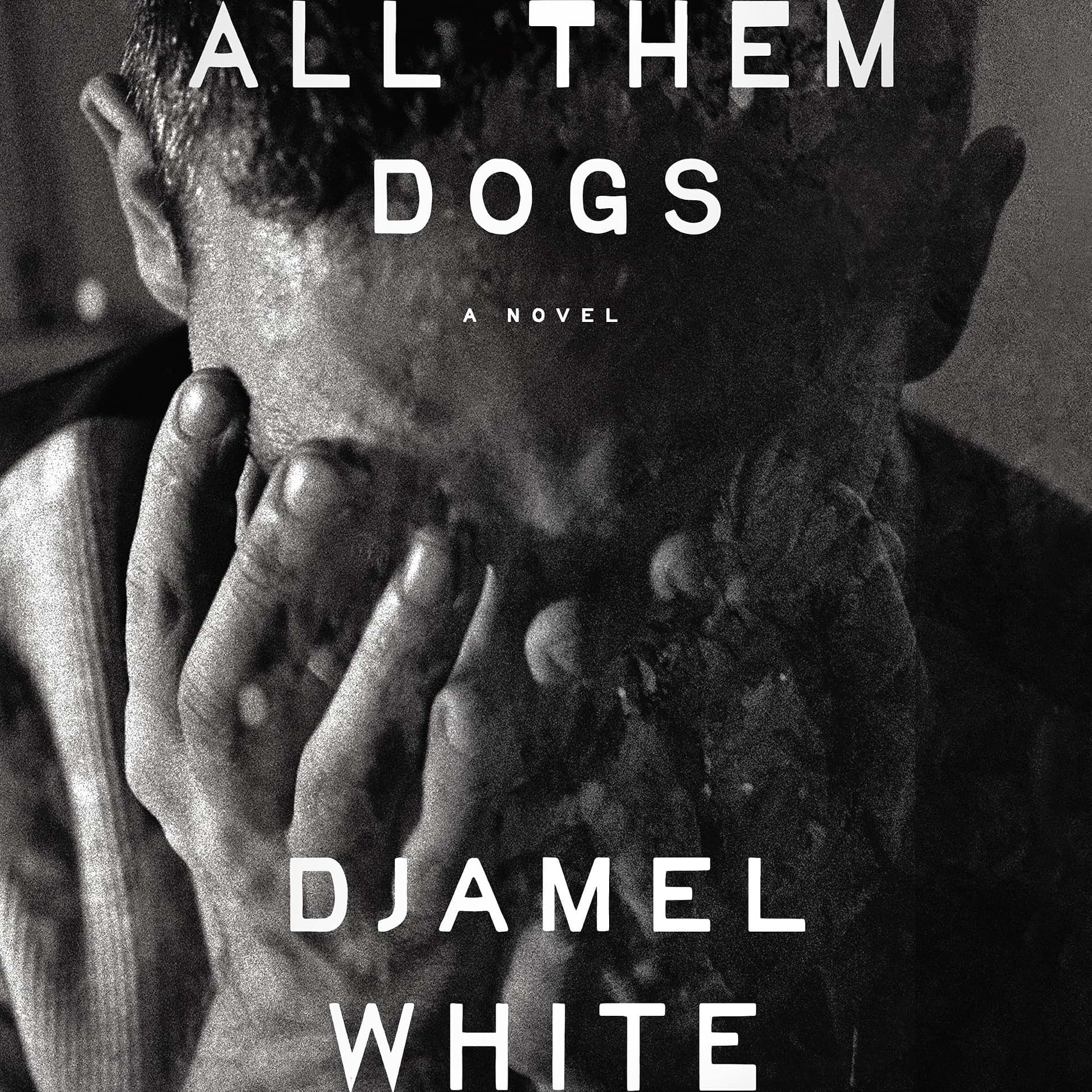 Carousel Item: All Them Dogs