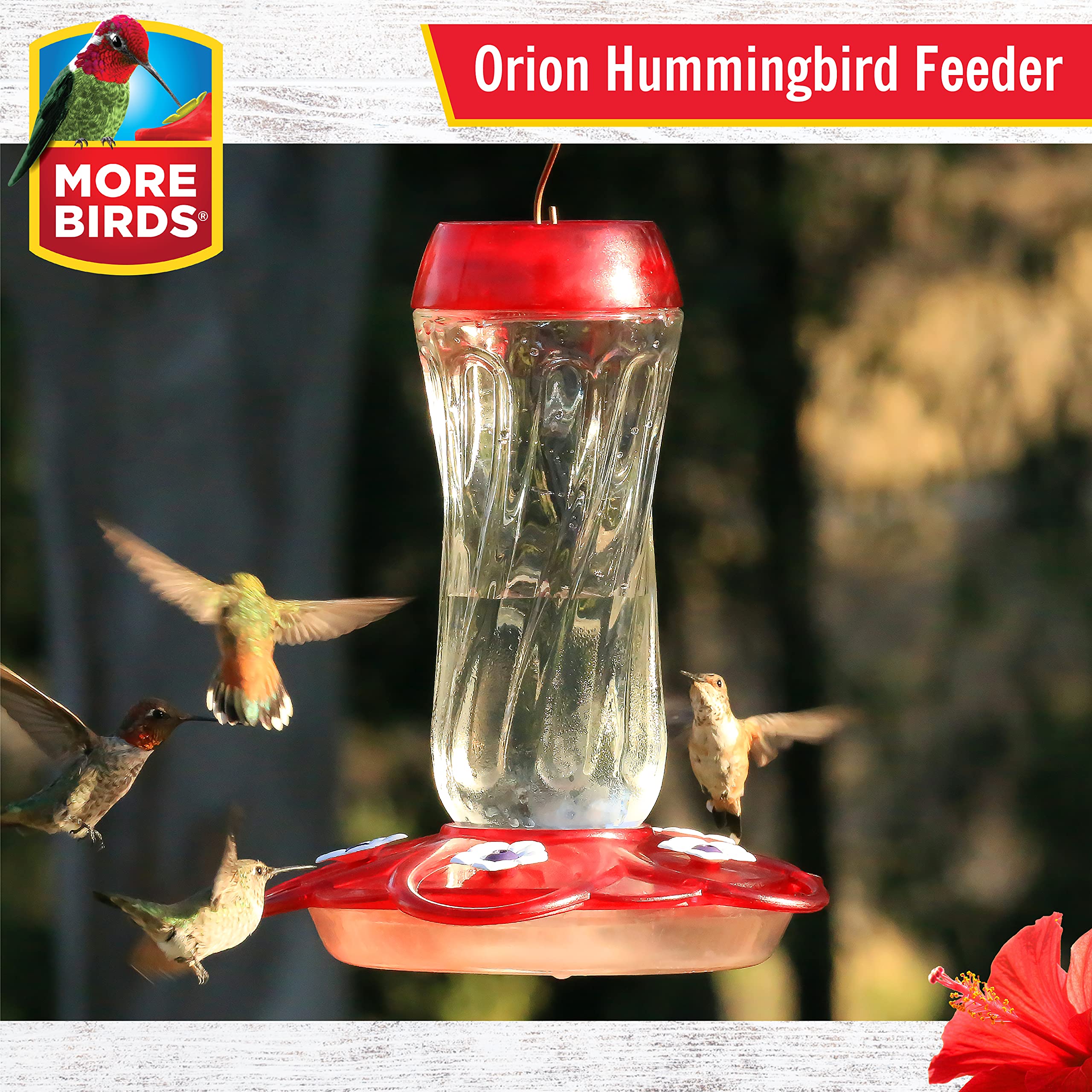 More Birds Orion Hummingbird Feeder, Glass Bottle, 5 Feeding Ports, 16-Ounce Nectar Capacity
